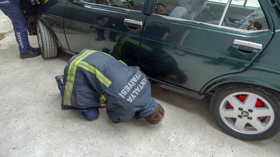 Yılanları mıknatıs gibi çeken 4 nokta belli oldu! Evinde olanlar dikkat - Resim: 1